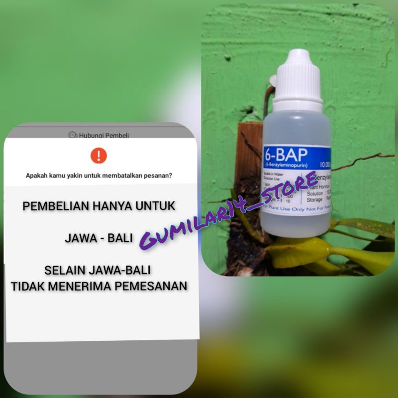 6-BAP HORMON perangsang Bunga Anggrek (hanya jawa-bali)