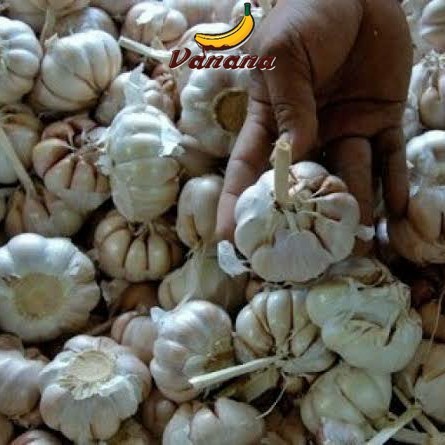 

VANANA Bawang putih 1/4kg (250g)