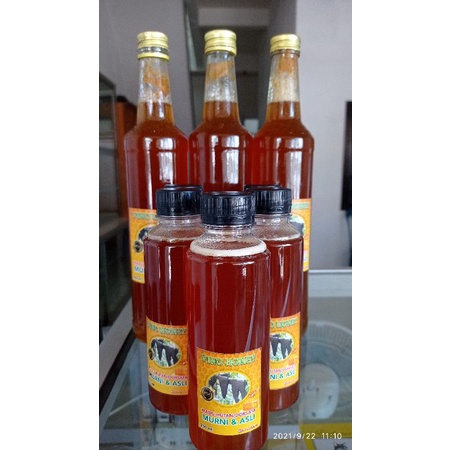 

madu hutan liar\dorsata murni 100%