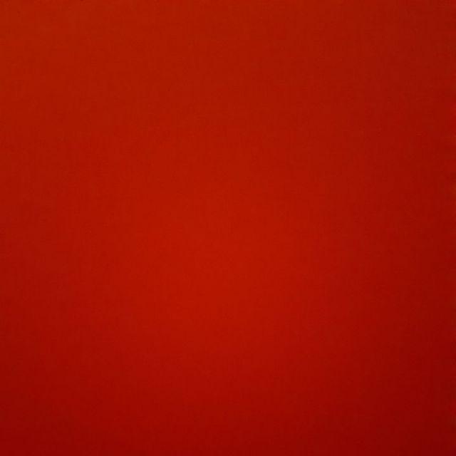 Tanaman Pandan Wangi Ukuran Sedang