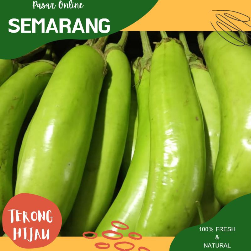 

Sayur Sayuran Segar / Terong Hijau Fresh Segar / Belanja Murah Semarang / Belanja Online