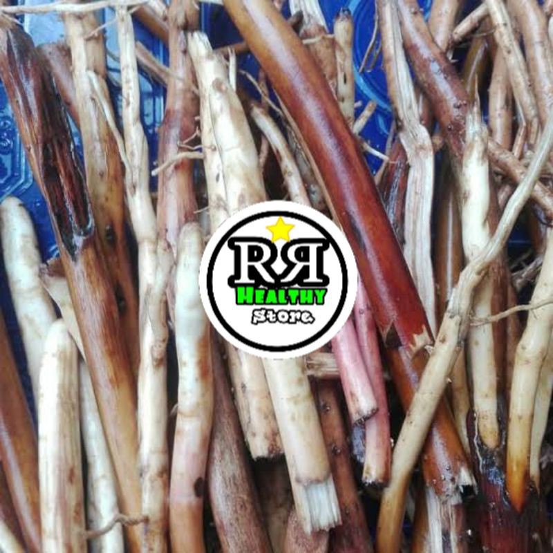 

akar pinang segar dan berkualitas