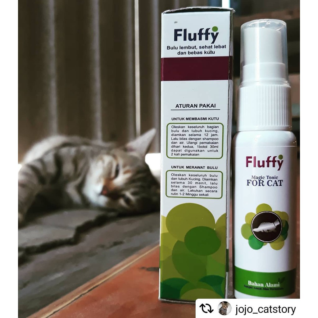 MENGOBATI BULU KUCING BOTAK DENGAN FLUFFY TONIC 100ml