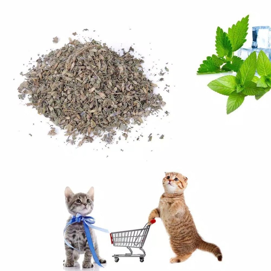 Catnip Serbuk - Catnip Import Catmint Daun Kucing Mainan Kucing Mint