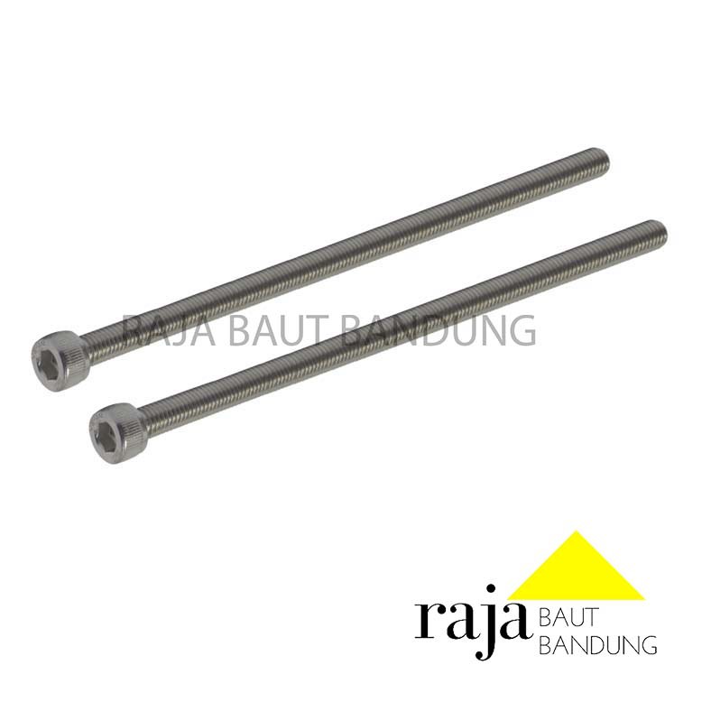 BAUT L STAINLESS M6X100 STAINLESS STEEL 304 2 PCS BO L SS 6X100