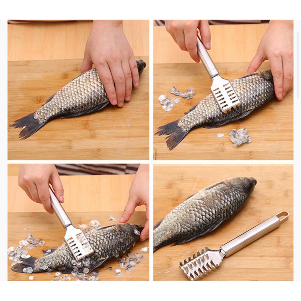 UNNISO - Alat Pembersih Sisik Ikan Stainless Steel
