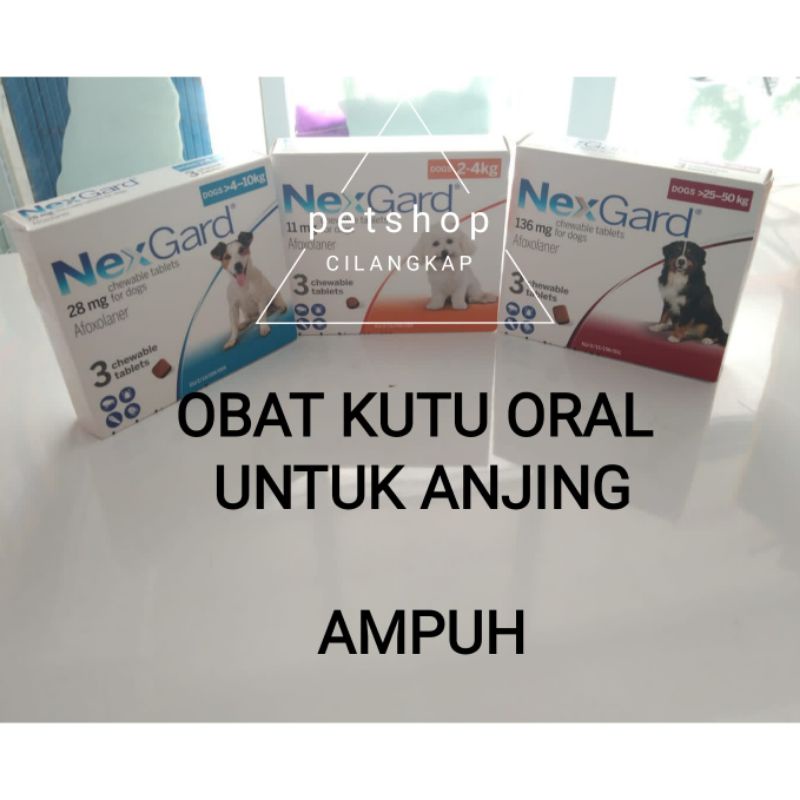 obat kutu nexgard untuk anjing obat kutu oral