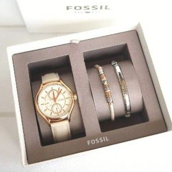 FossilWatchSet