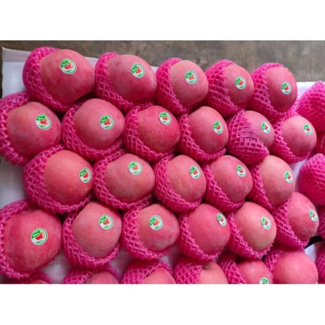 

Apel fuji 1kg