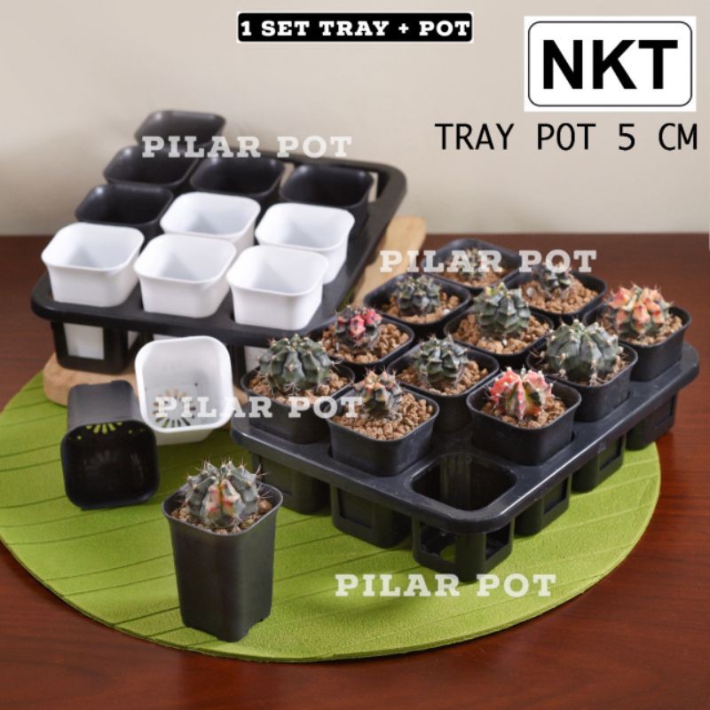 1 set Tray + pot bunga tanaman nkt kotak 5cm | tray semai bibit