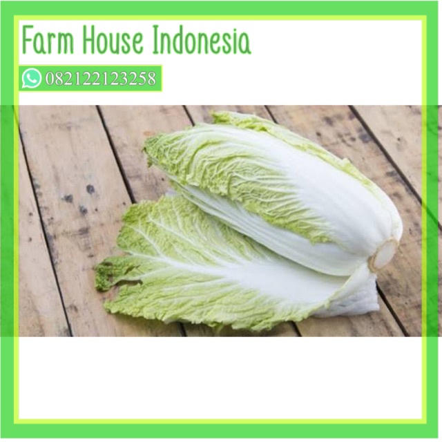 

SAYURHD SAWI PUTIH SEGAR MURAH 500 GRAM