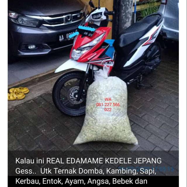 

EDAMAME AFKIR FRESH GRADE A