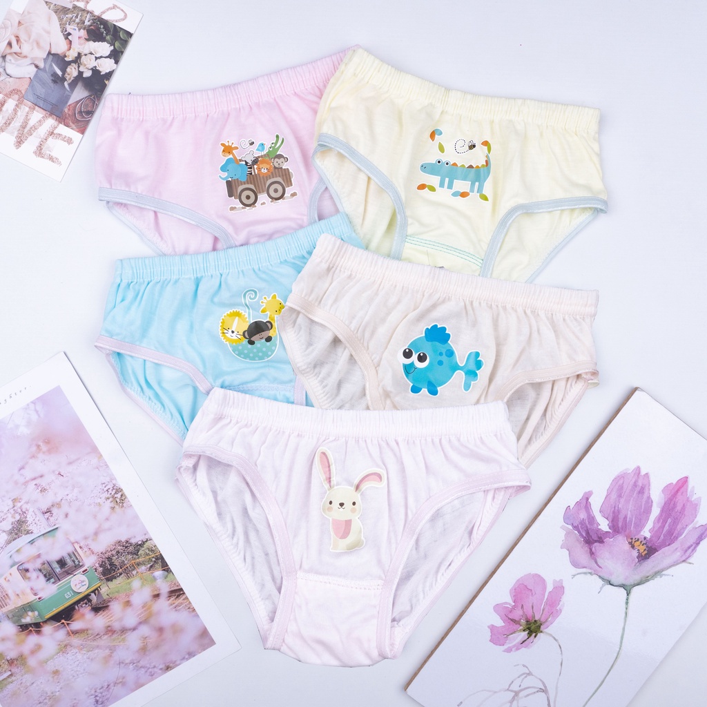 IL - CELANA DALAM ANAK CEWEK JL KIDS IMPORT | CD ANAK CEWEK PEREMPUAN