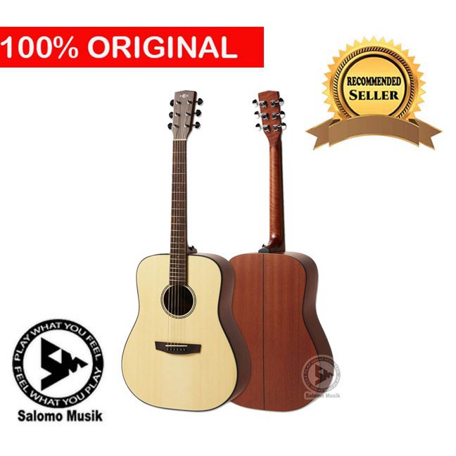 Gitar Akustik Elektrik Hex D100E M LTD Original