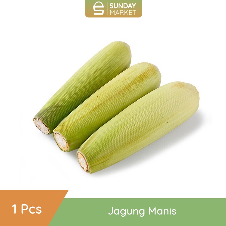 

Jagung Manis Besar 1Pcs | Fresh Setiap Hari