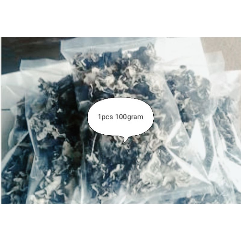 

Jamur kuping magetan