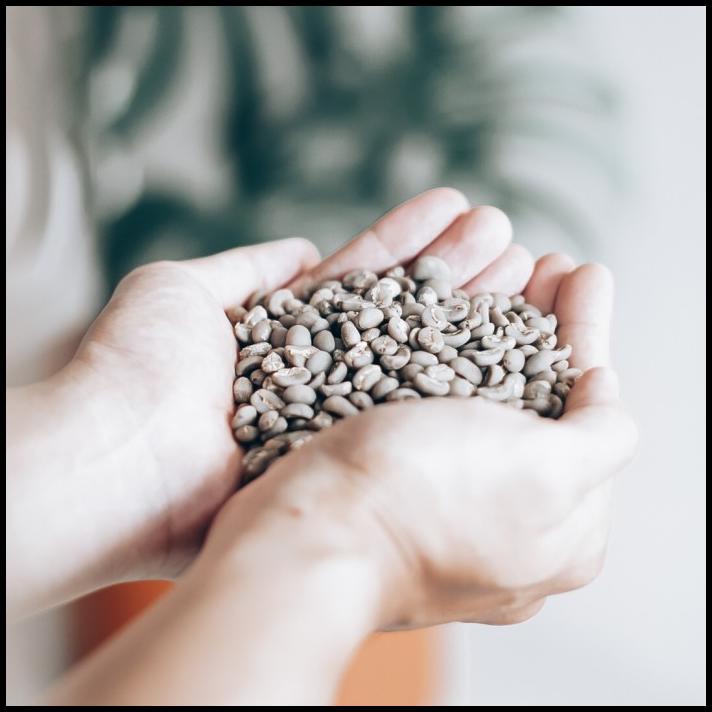 

Green Bean Arabica Gayo Grade 1 Wet Hull / Semi Washed