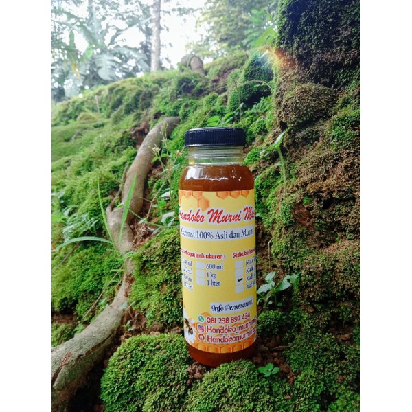 

MADU KLANCENG 250ml ASLI DAN MURNI