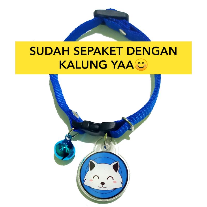 Baju kucing + Kalung lucu (sepaket)