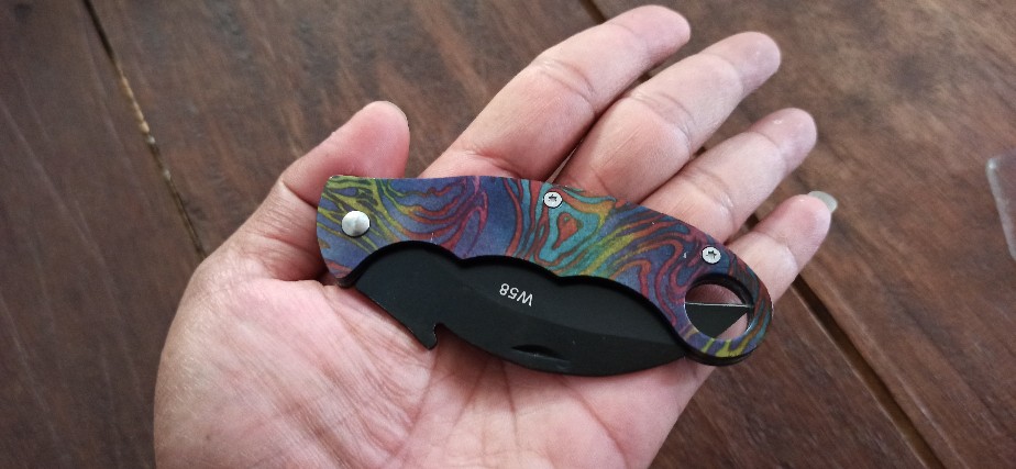 Pisau Dapur Pisau Outdoor Survival Folding Eagle Knife 165mm - W58