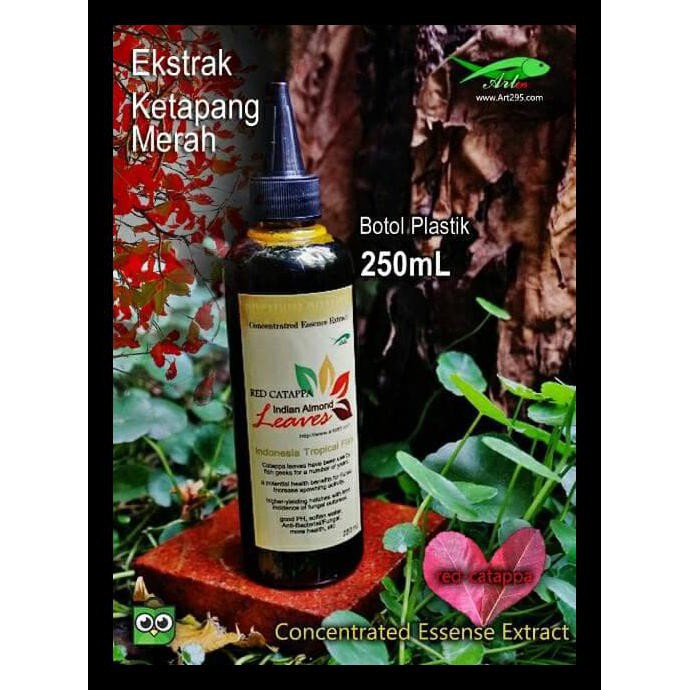 

Ekstrak Daun Ketapang Merah 250Ml Indian Almond Premium Quality Promo Murah