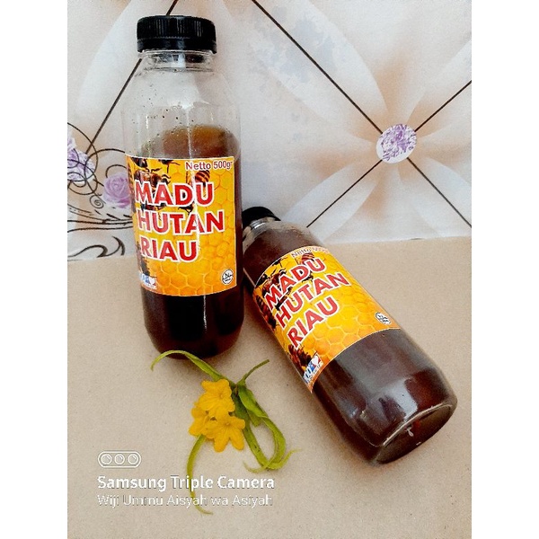 

Madu Hutan Riau