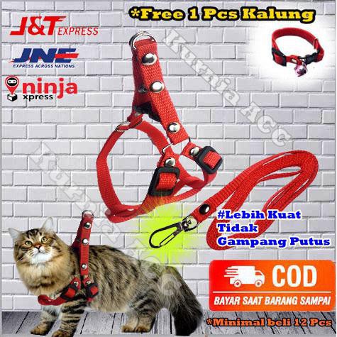 Harness Kucing Kelinci Musang Satu Lusin Model Y