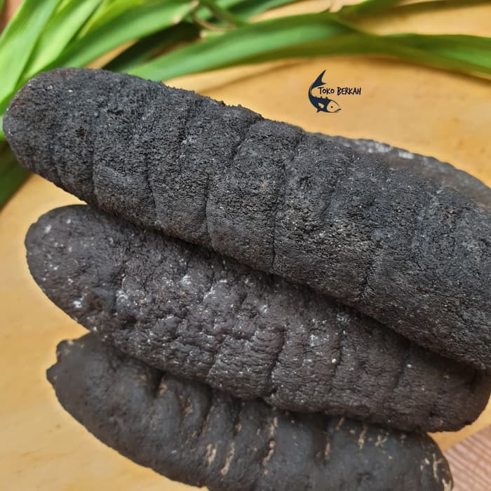 

Kkeanashop Haisom Asli Belitung Isi 40Pcs / Teripang / Sea Cucumber / Lintahlaut