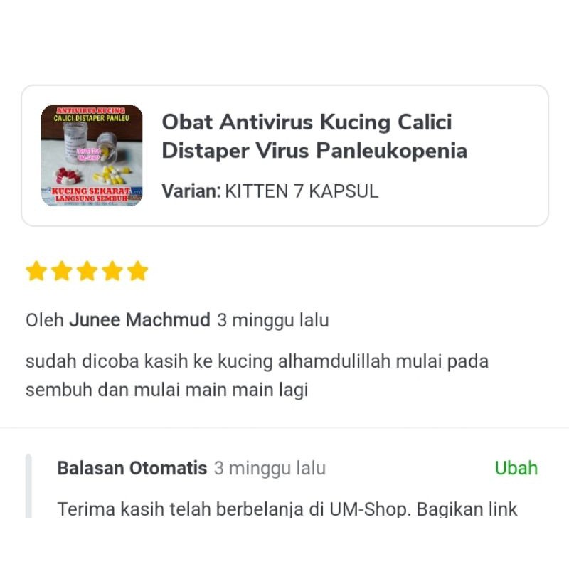 Obat Virus Kucing Calici  Panleukopenia Distemper Paling Ampuh Antivirus Cat