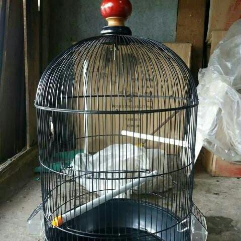 Lianp | Kandang Jumbo Burung Lovebird/Burung Palak/Burung Beo/Kandang Jumbo Kekinian Terlaris