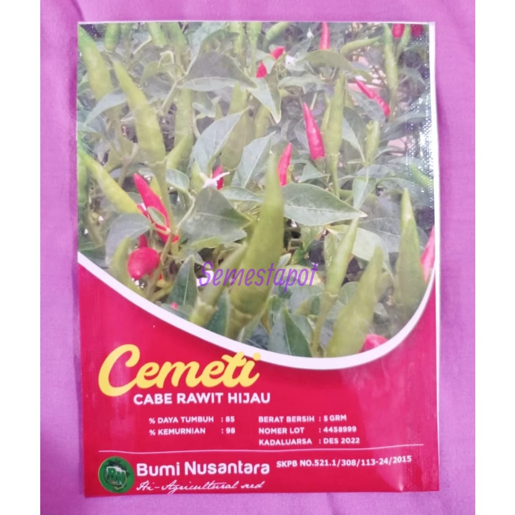 Bibit Benih Cabe Rawit Hijau Cemeti 5 Gram Bumi Nusantara