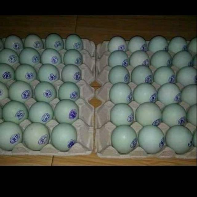 

telur asin super besar,telur pilihan,telur bebek berkualitas,ukuran pling besar,dijamin puas,