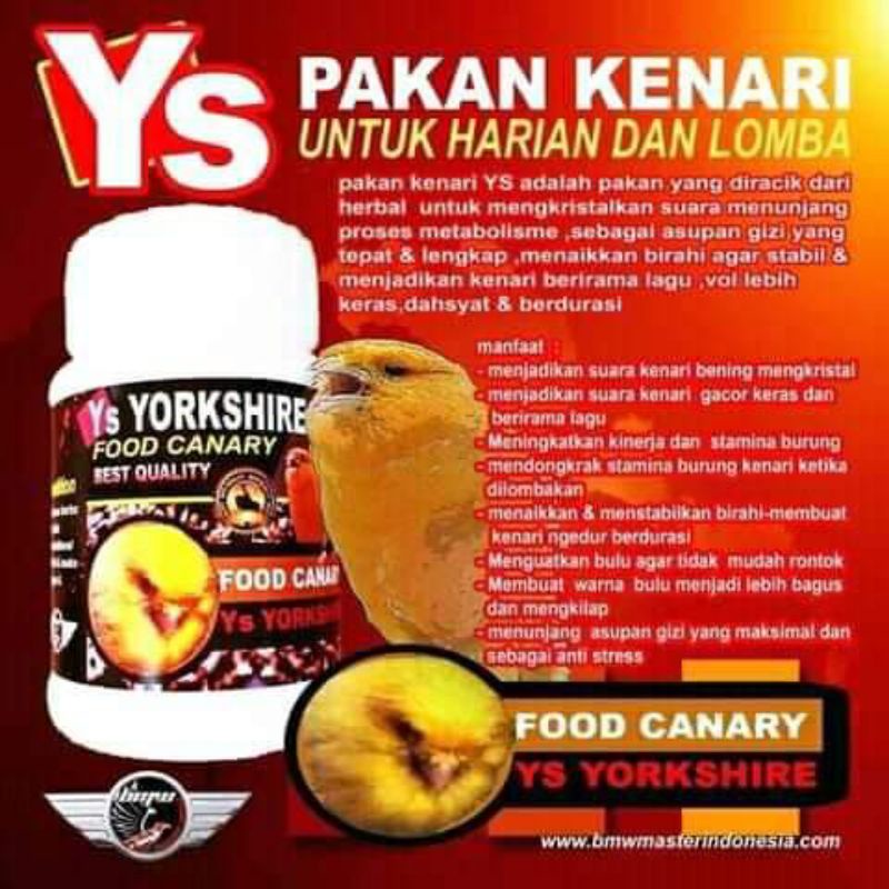 PAKAN KENARI YS