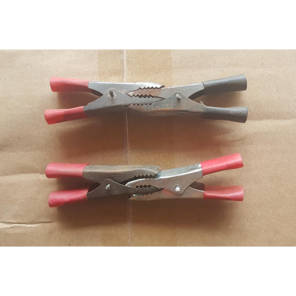 JEPITAN AKI KECIL/ CAPITAN AKI/ JEPITAN BUAYA AKI