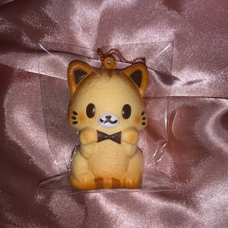Nyan nyan financier ibloom squishy