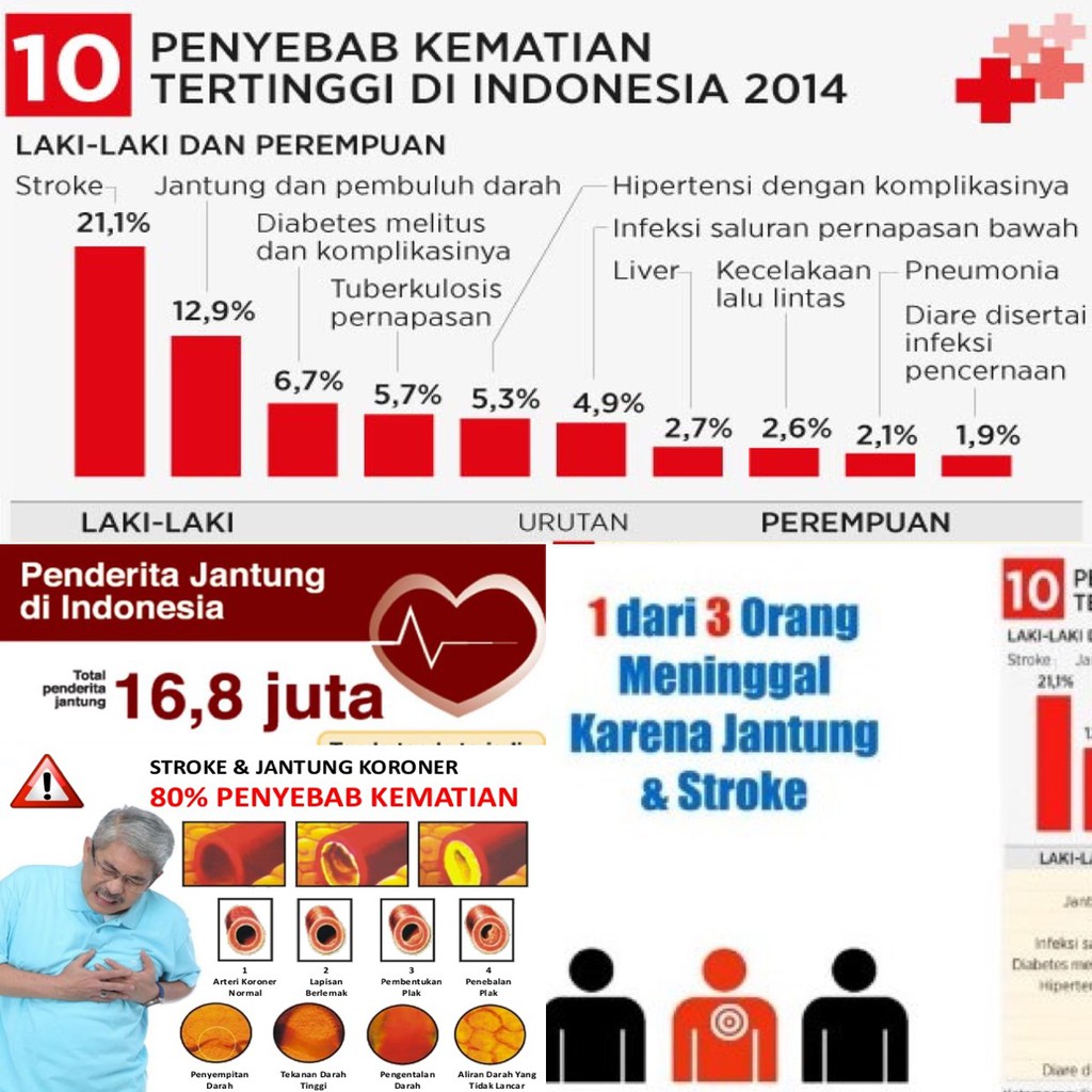 Almahaz Madu Hitam Pahit Madu Herbal Obat Diabetes Stroke Jantung Darah Tinggi Asam Urat