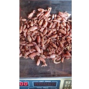 

cumi/cumi baby/baby cumi kering 250g