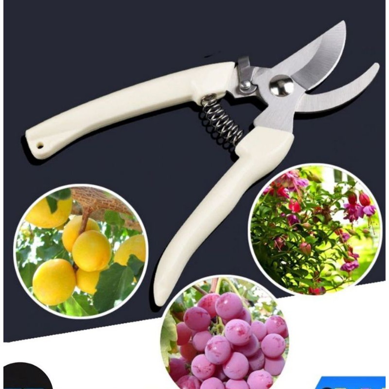 Gunting Dahan Ranting Bunga Bengkok peralatan berkebun taman garden tools tanaman bonsai cutting new ( Gunting warna plastik )