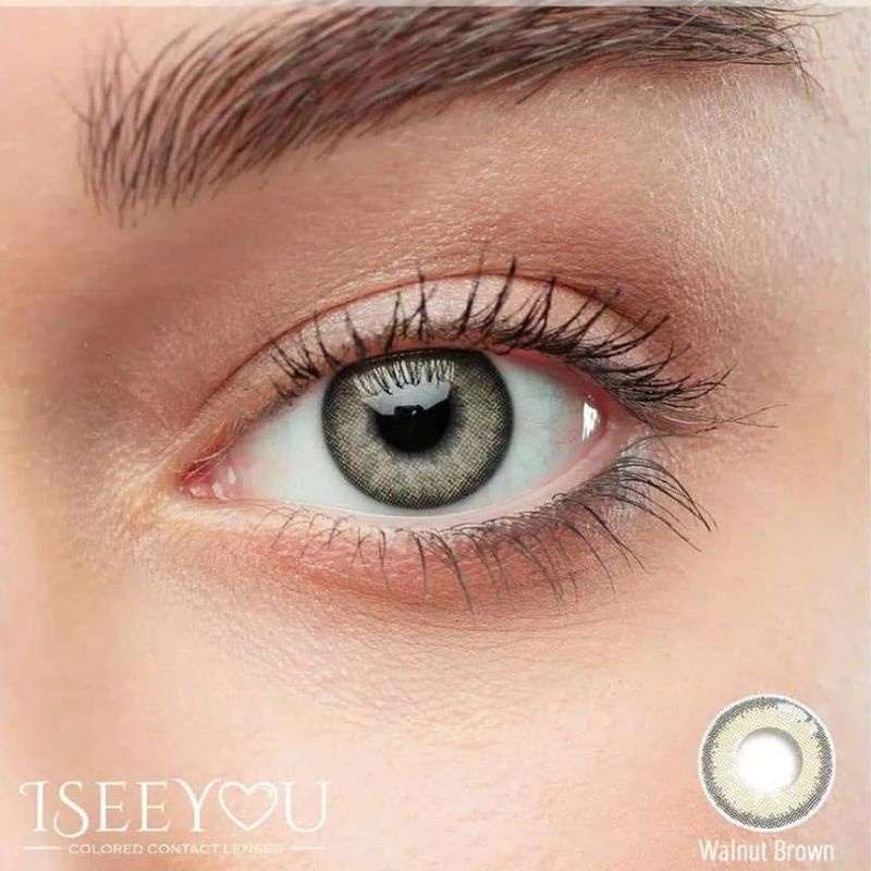 softlens warna diameter 14.5 water 43% omega IseeYou Warna Walnut Brown