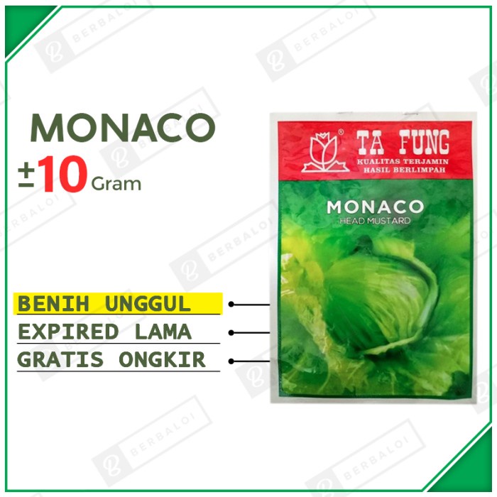 Monaco Head Mustard Benih Sawi Pahit Unggul Bibit Sawi Pahit Hibrida