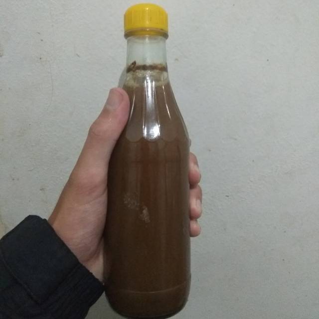 

Madu Klanceng