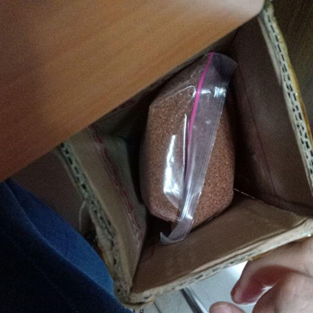 Media Tanam Cocopeat