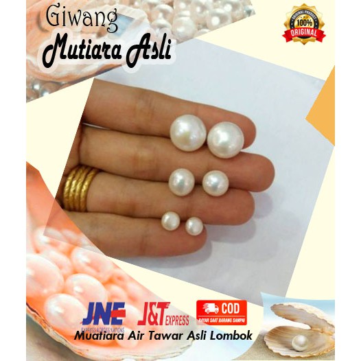 giwang Persit Bhayangkari Mutiara Tawar Asli Lombok