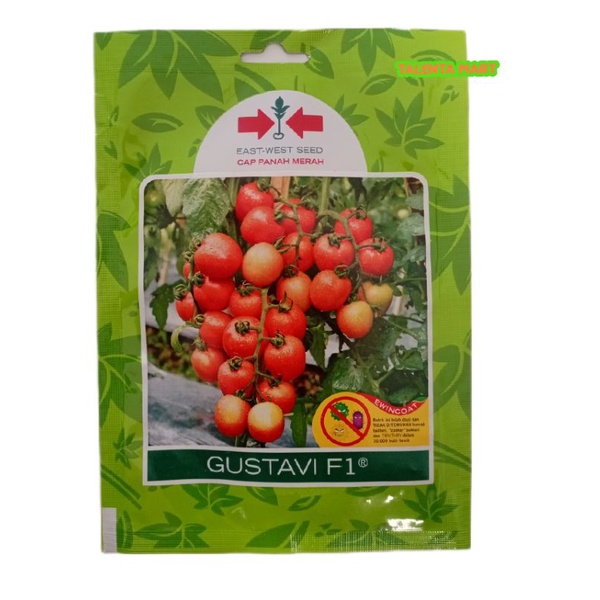 BENIH/BIBIT TOMAT GUSTAVI F1 150 BUTIR