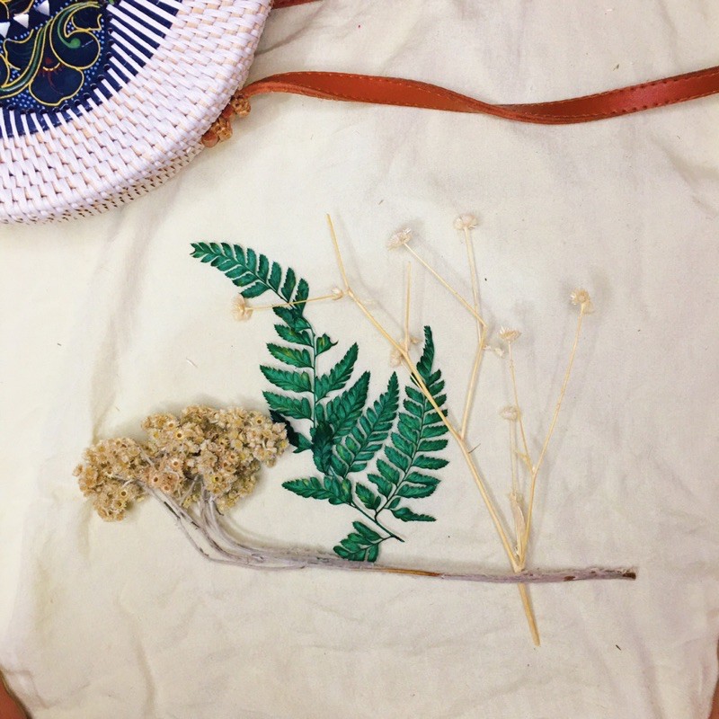 

daun pakir kering dried flower