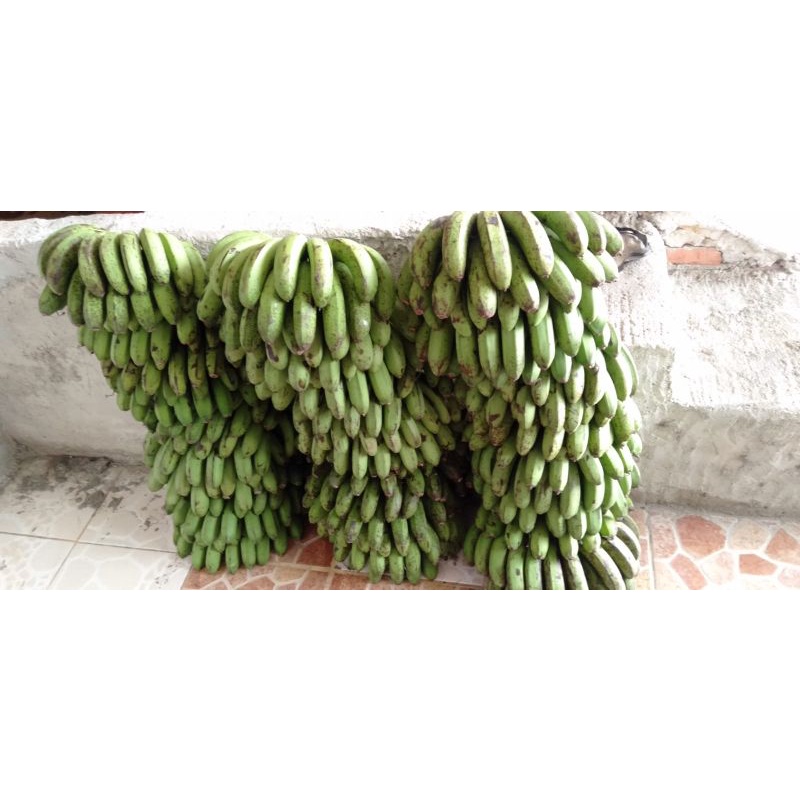

Pisang kepok kuning,putih,Barangan Medan, Raja,Siam.