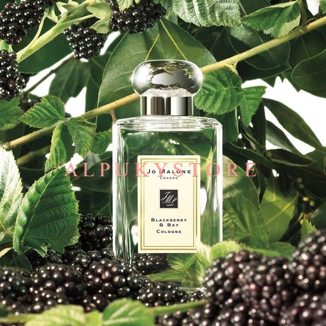 Sale Parfum Jo Malone Blackberry & Bay 100Ml Original