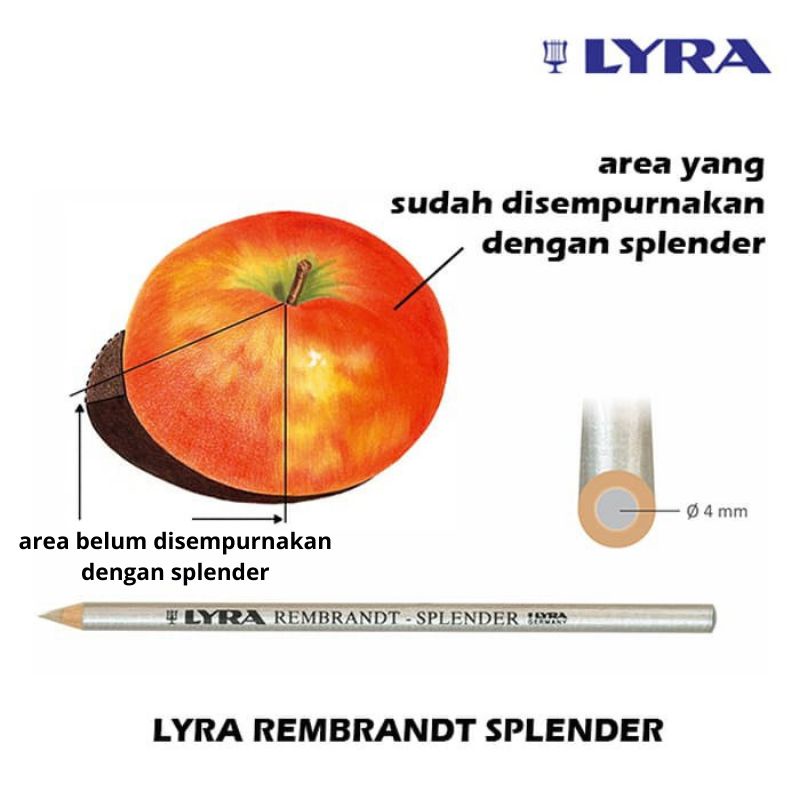 Lyra Rembrandt Splender