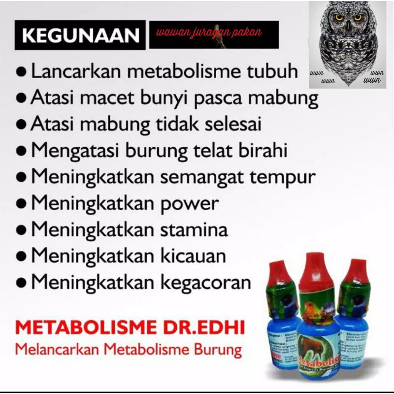 METABOLISME obat burung, obat burung macet