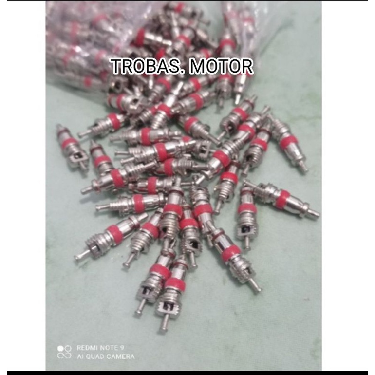 spuyer isi pentil ban motor